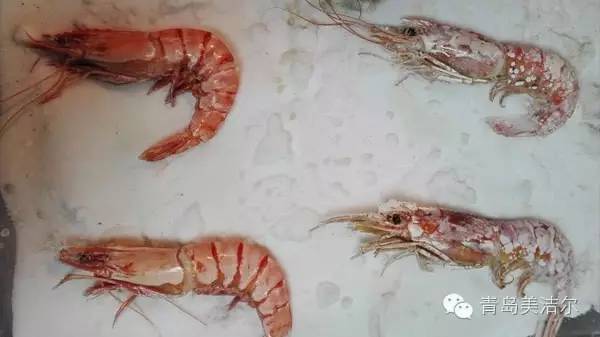萬(wàn)能蒸烤箱8