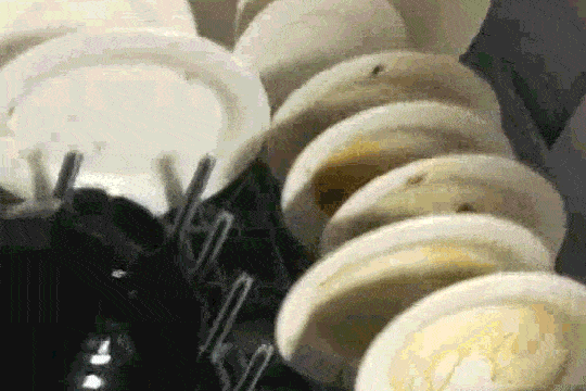 食堂自動洗碗機